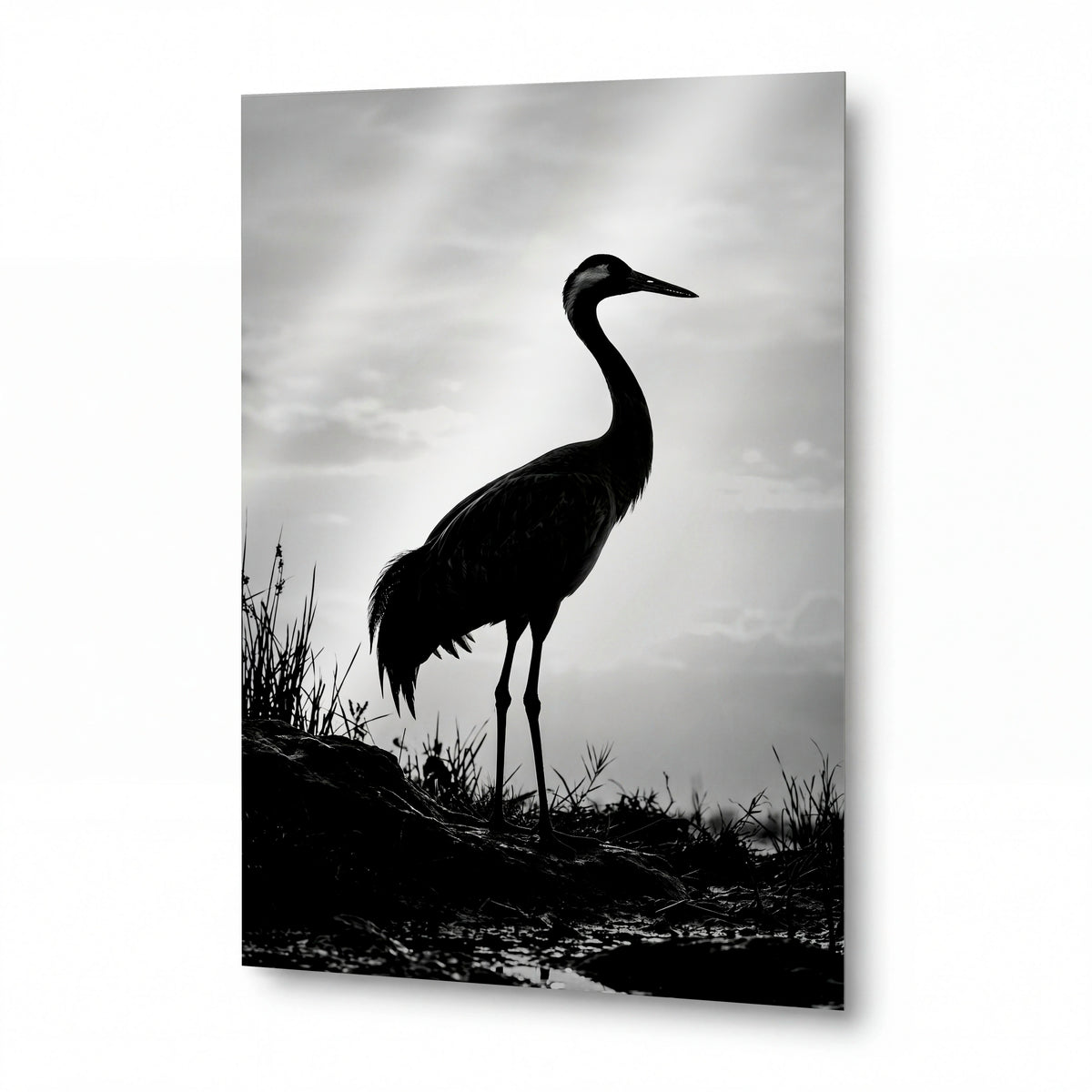 Obraz Jeřáb v mlze u tichého břehu — kovový obraz na hliníkovém panelu s vysokým leskem