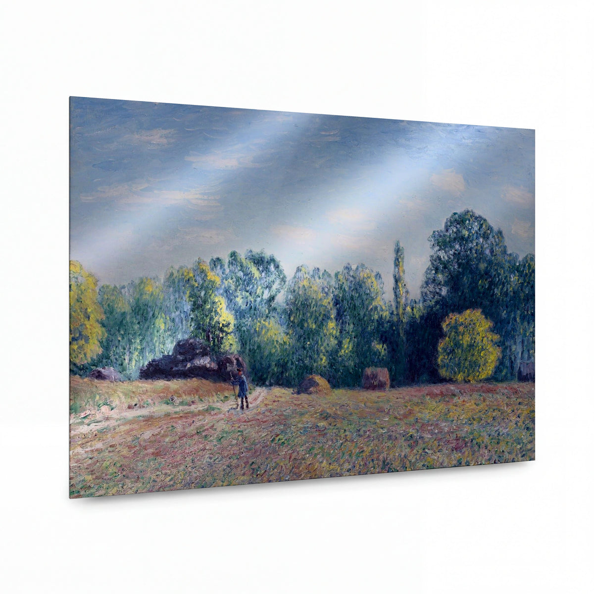 Obraz Alfred Sisley — Edge of the Forest — kovový obraz s vysokým leskem — kovový obraz s vysokým leskem