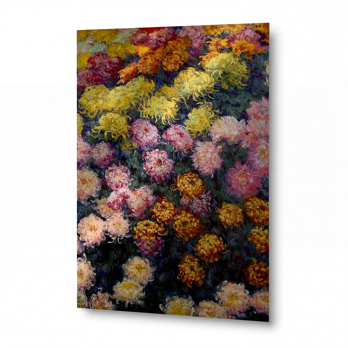 Obraz Claude Monet — Chrysantémy — kovový obraz s vysokým leskem — kovový obraz s vysokým leskem