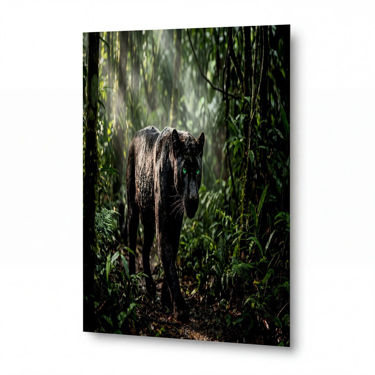 Obraz Černý panter se zelenýma očima v pralese — lesklý hliníkový obraz
