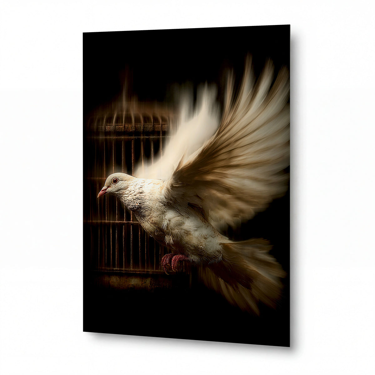 Obraz Holubice v explozi světelných per — prémiový kovový obraz