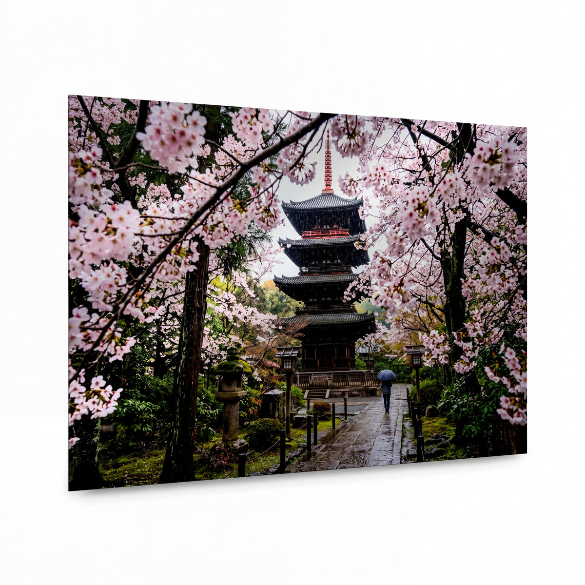 Obraz Pagoda v objetí sakur — kovový obraz na hliníkovém panelu s vysokým leskem