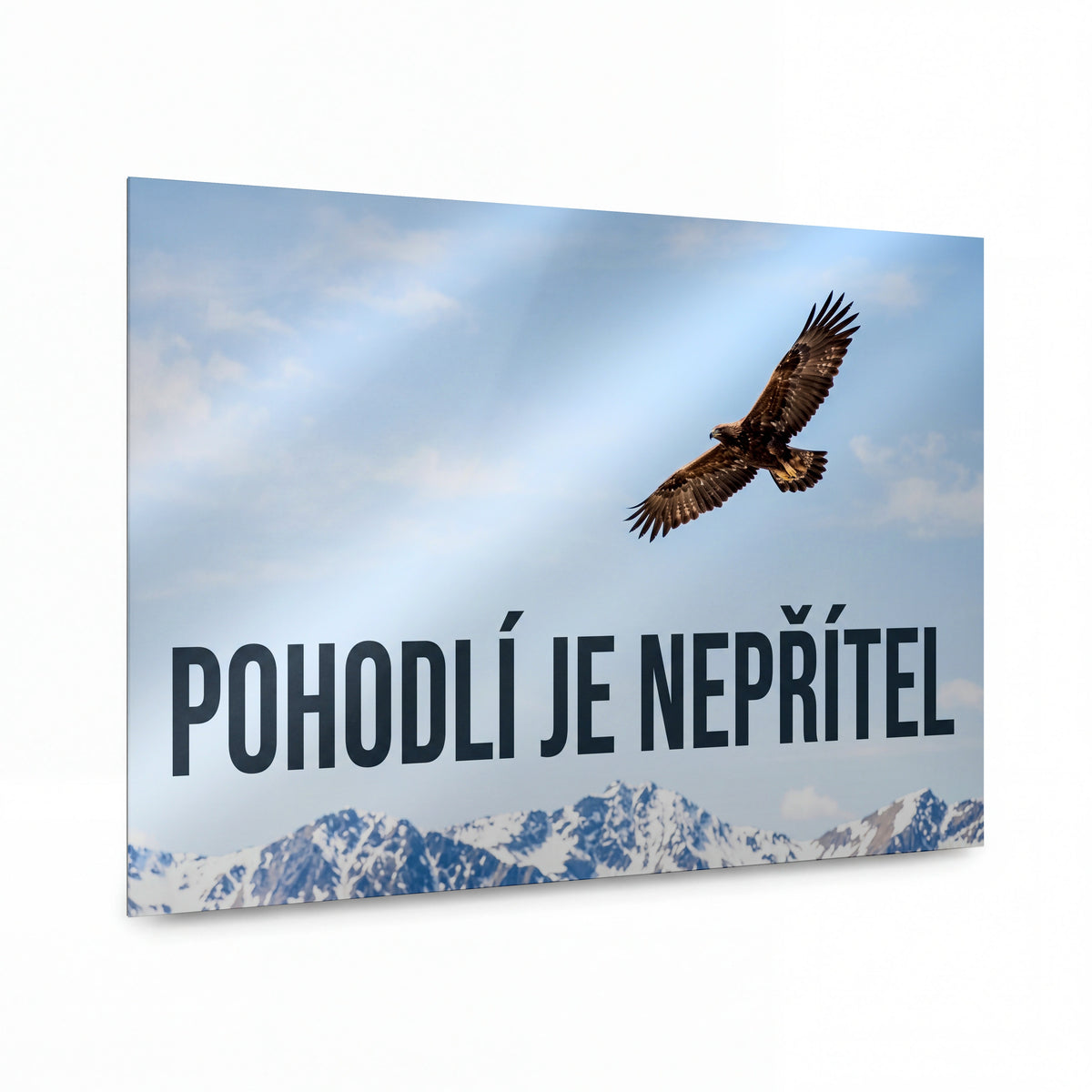 Obraz Sokolí odhodlání nad horami — kovový obraz na hliníkovém panelu s vysokým leskem