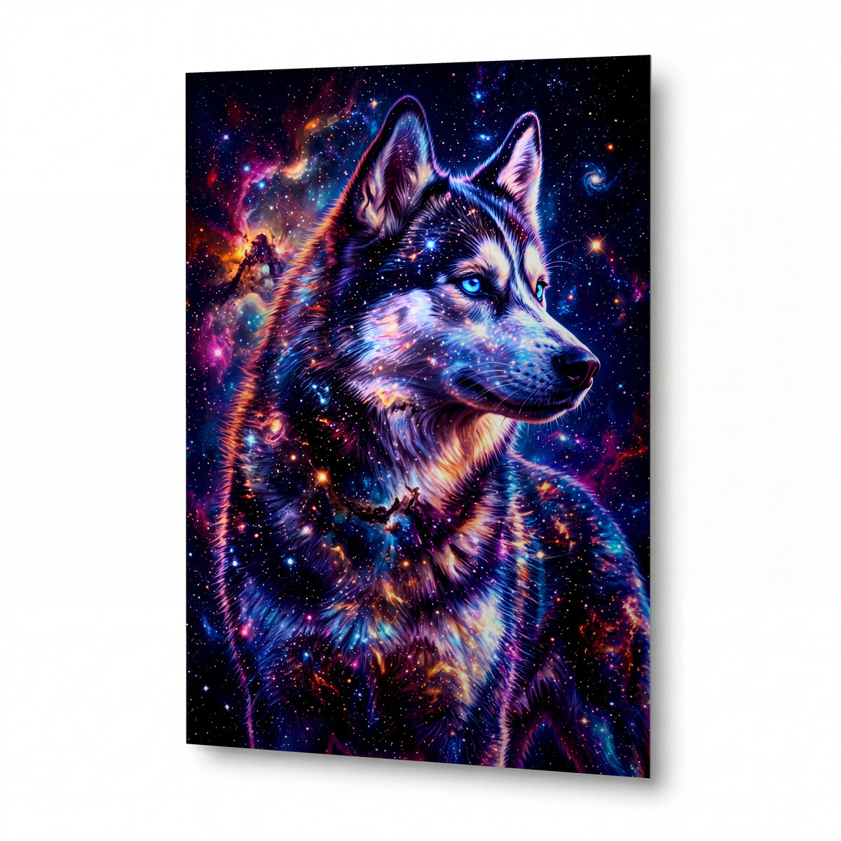 Obraz Husky s duší galaxie — kovový obraz na hliníkovém panelu s vysokým leskem
