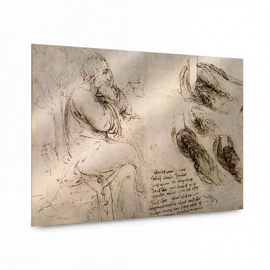 Obraz Leonardo da Vinci — Studie starce a vlasů — kovový obraz s vysokým leskem — kovový obraz s vysokým leskem
