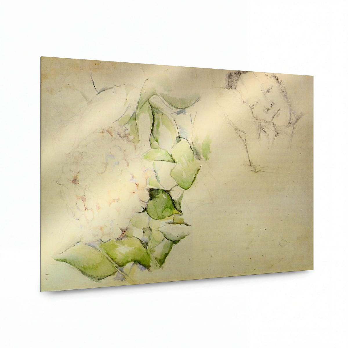 Obraz Paul Cézanne — Madame Cézanne s hortenzií — reprodukce na kovovém panelu s vysokým leskem — reprodukce na kovovém panelu s vysokým leskem