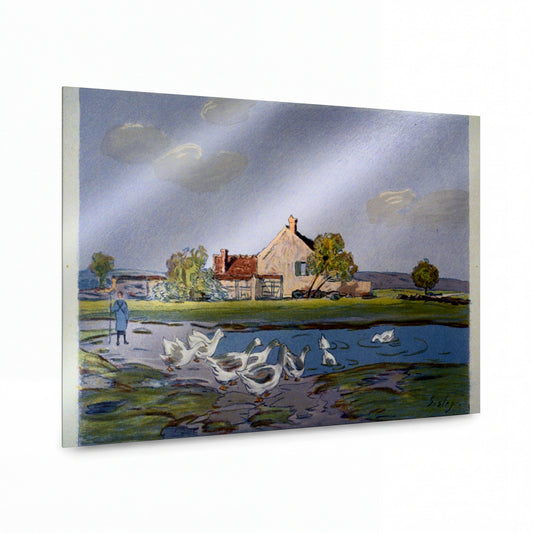 Obraz Alfred Sisley — Geese — kovová reprodukce s vysokým leskem — kovová reprodukce s vysokým leskem