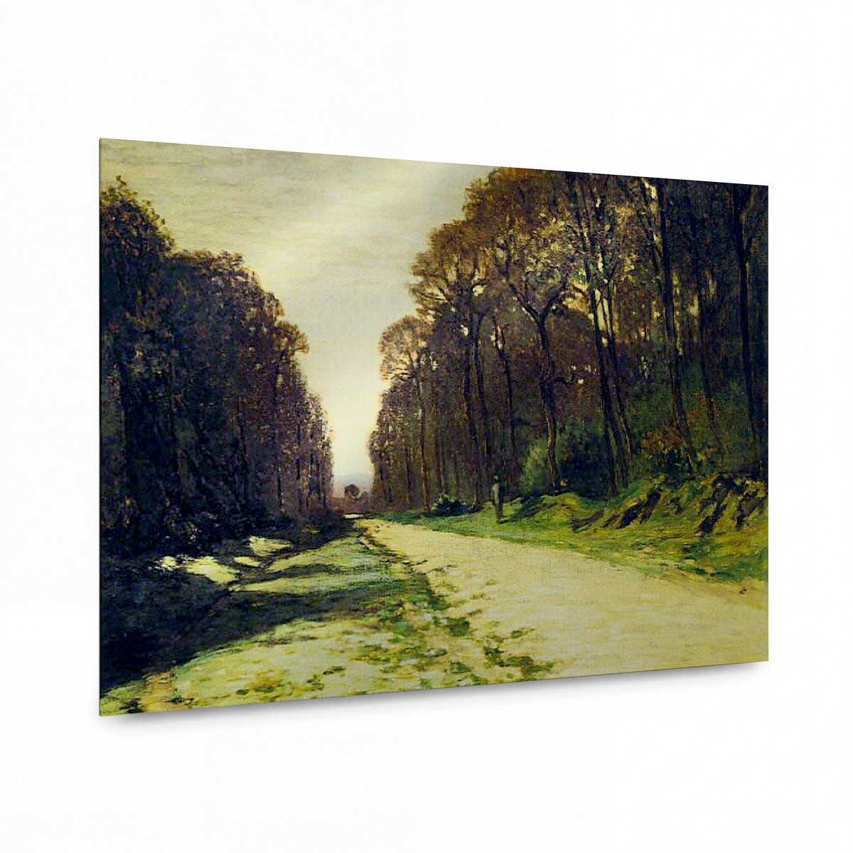 Obraz Claude Monet — Alej v lesním parku — reprodukce na lesklém hliníkovém panelu