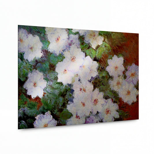 Obraz Claude Monet — Bílé pivoňky s fialovými stíny — hliníkový panel s vysokým leskem