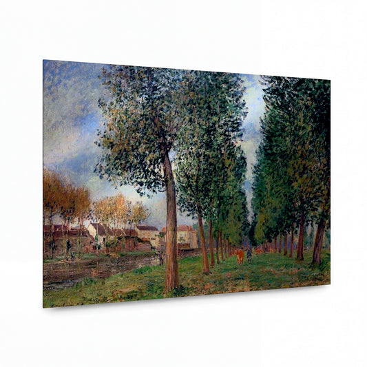 Obraz Alfred Sisley — Lane of Poplars at Moret, Cloudy Day, Morning, 1888 — prémiová reprodukce na kovovém panelu