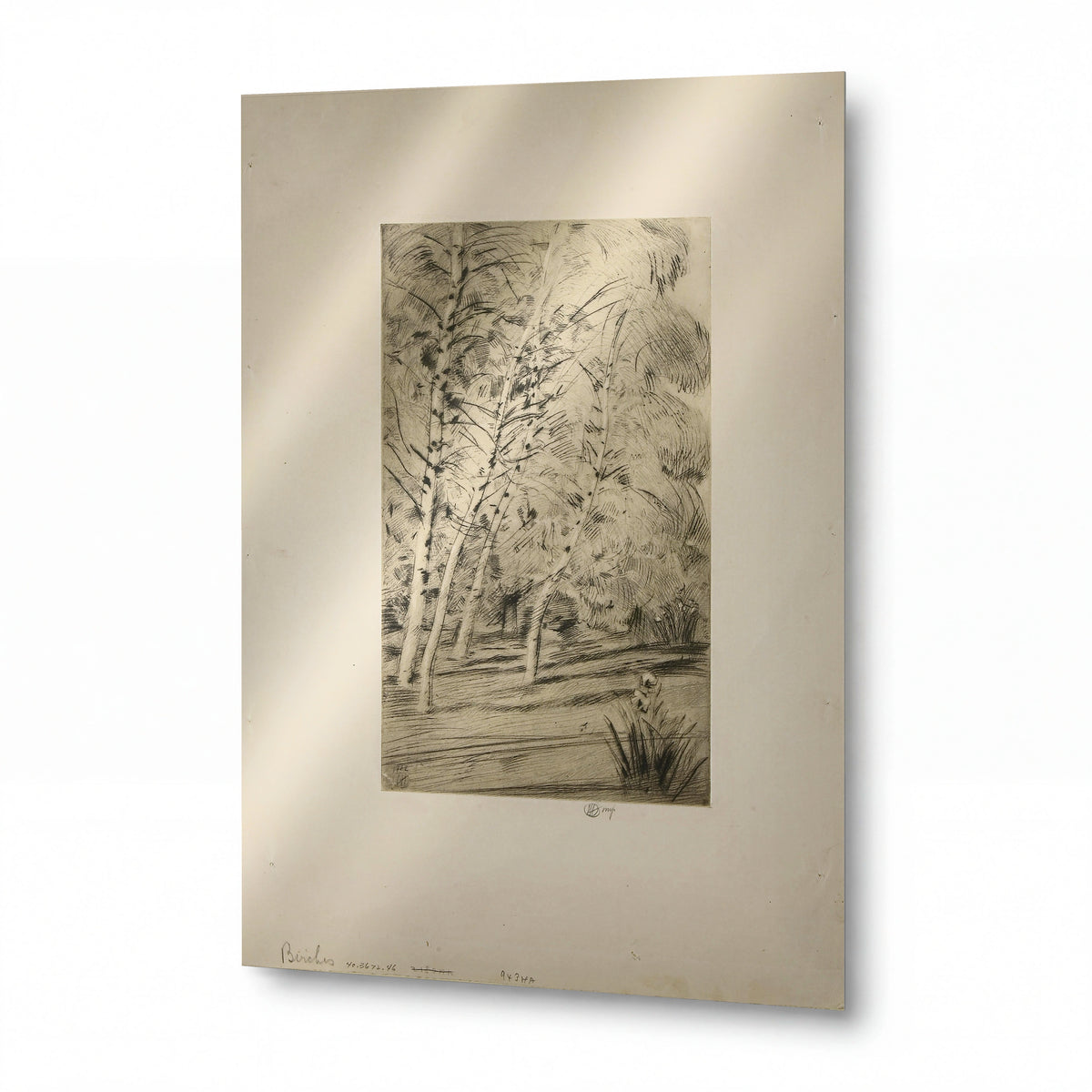 Obraz Frederick Childe Hassam — The Birches — prémiová reprodukce na kovovém panelu — prémiová reprodukce na kovovém panelu