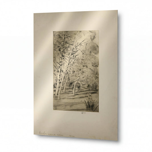 Obraz Frederick Childe Hassam — The Birches — prémiová reprodukce na kovovém panelu — prémiová reprodukce na kovovém panelu