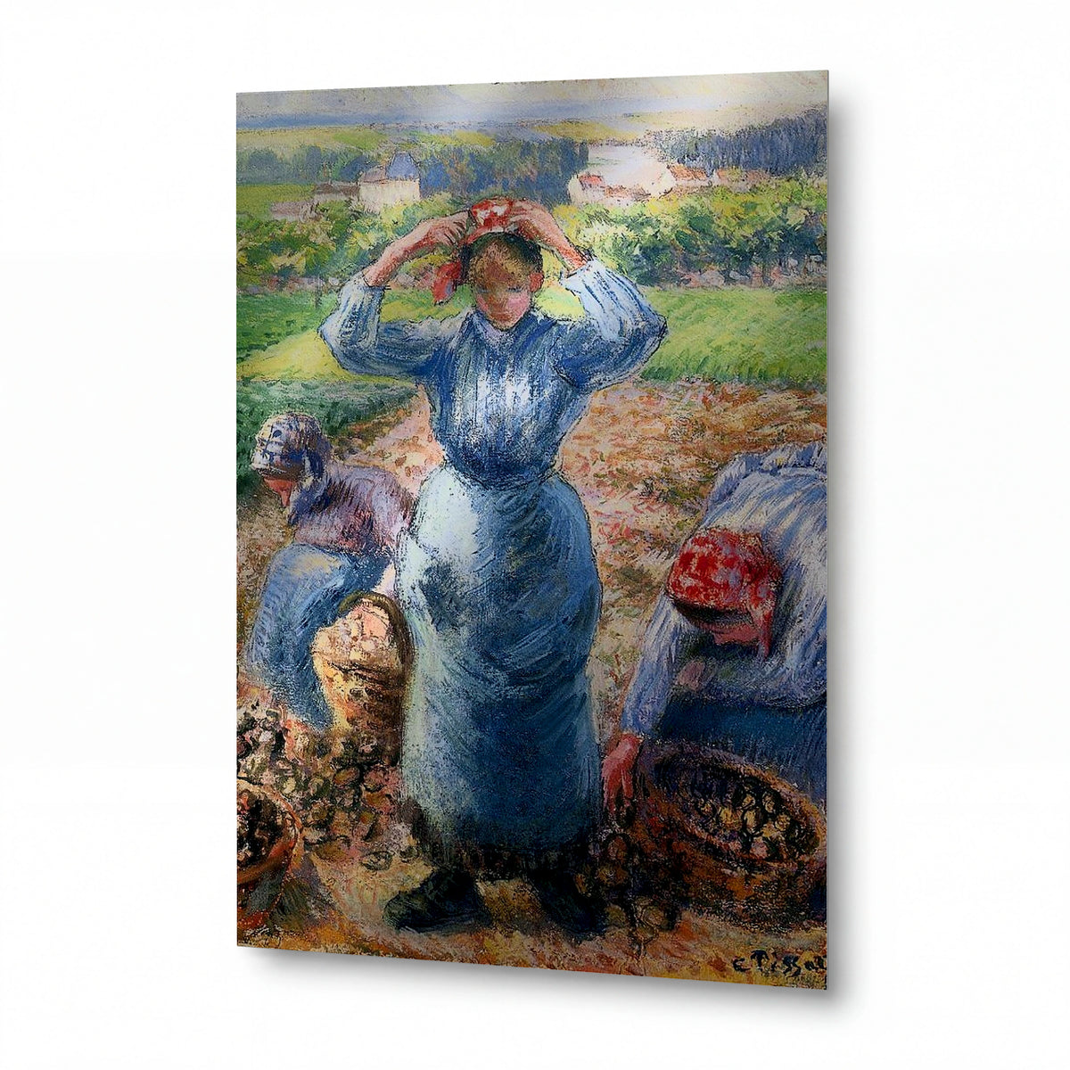Obraz Camille Pissarro — Peasants Harvesting Potatoes — kovový obraz na hliníkovém panelu — kovový obraz na hliníkovém panelu