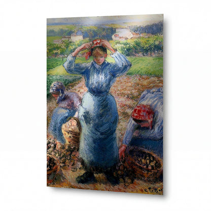 Obraz Camille Pissarro — Peasants Harvesting Potatoes — kovový obraz na hliníkovém panelu — kovový obraz na hliníkovém panelu