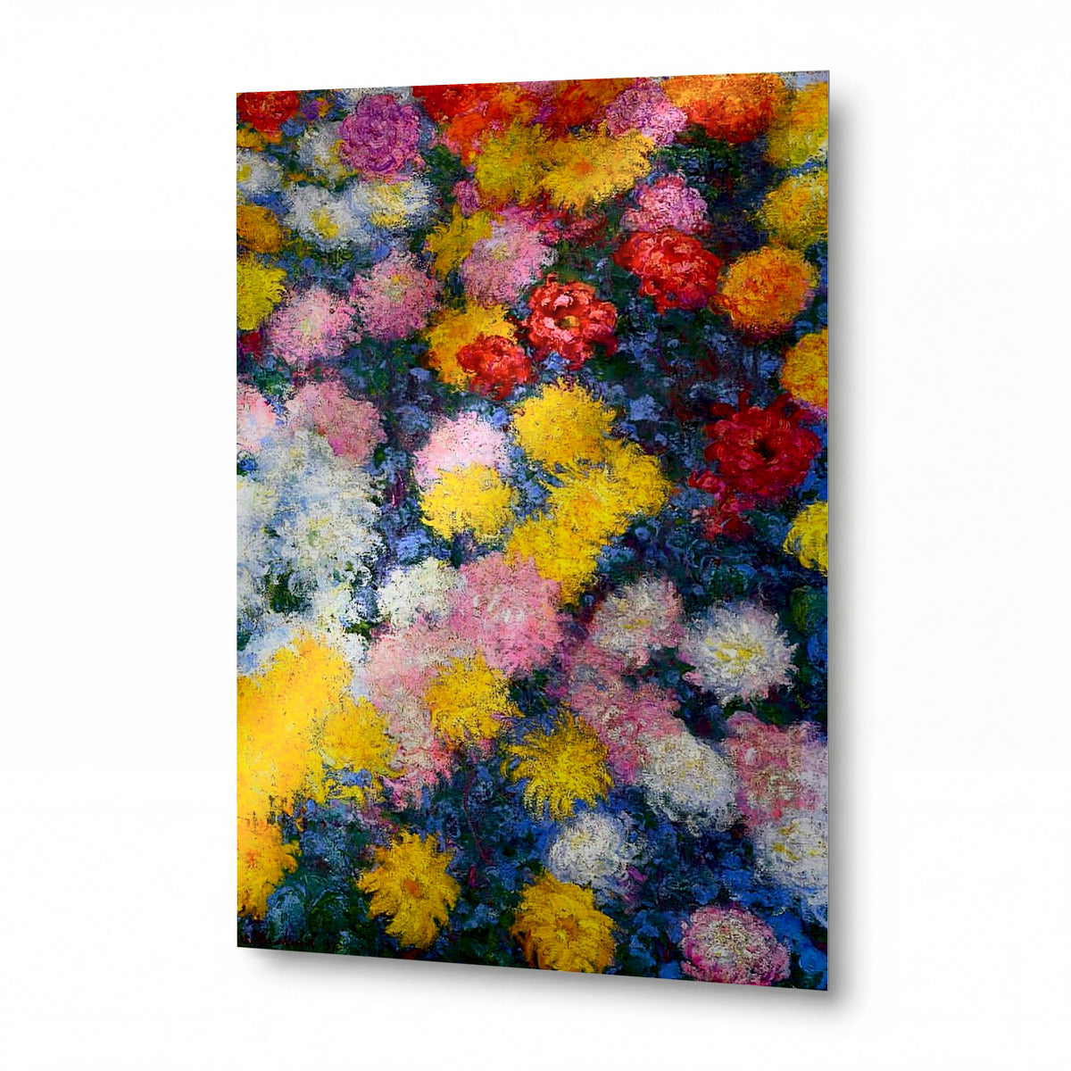 Obraz Claude Monet — Pole chryzantém — lesklý obraz na hliníku — lesklý obraz na hliníku
