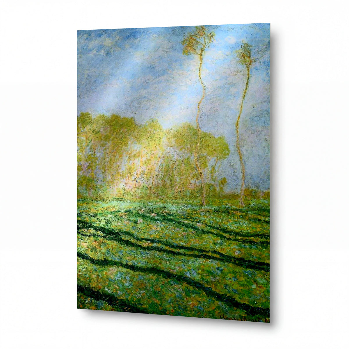 Obraz Claude Monet — Jarní louka s topoly — umělecká reprodukce na hliníku — umělecká reprodukce na hliníku