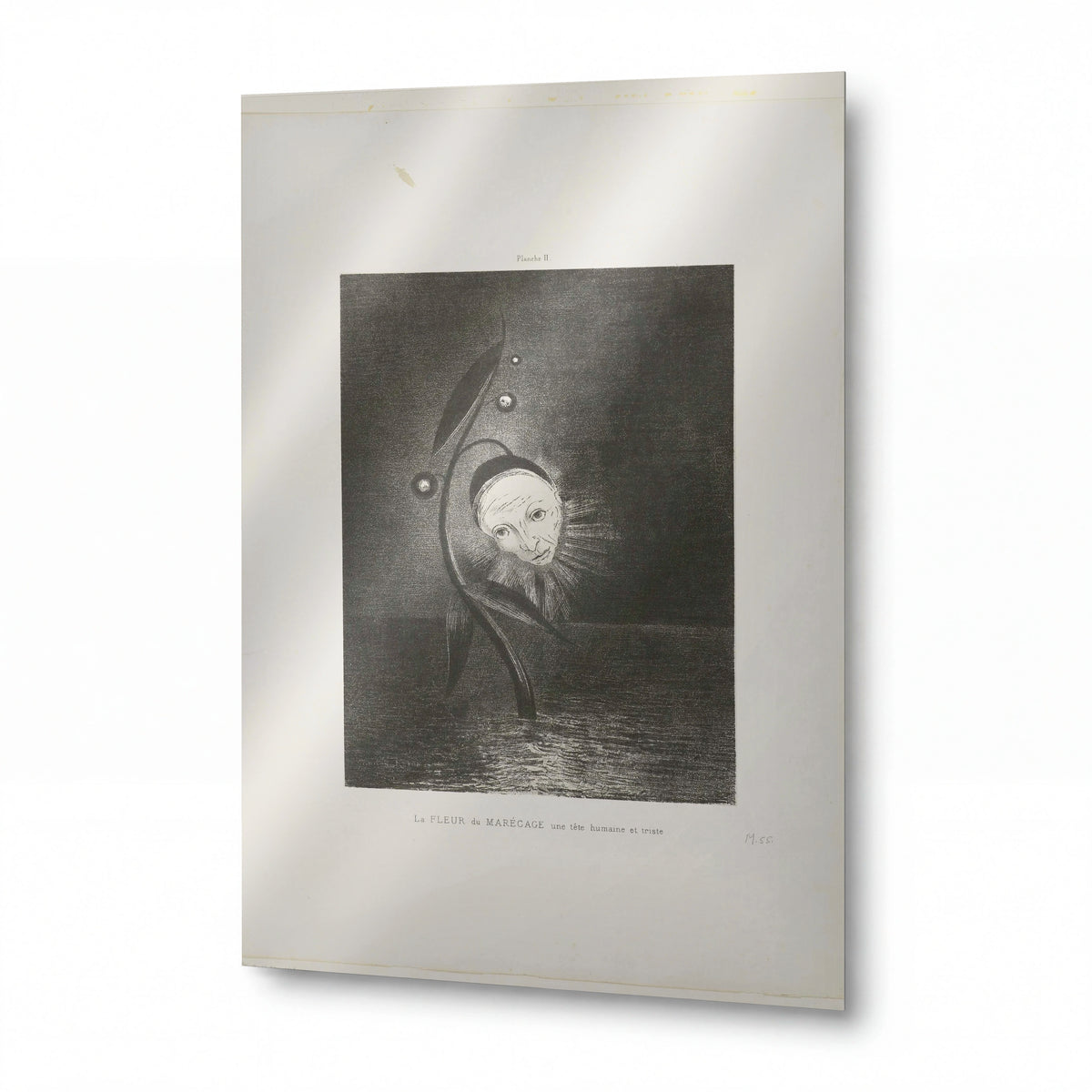 Obraz Odilon Redon — Flower of a Marsh — reprodukce na lesklém hliníkovém panelu