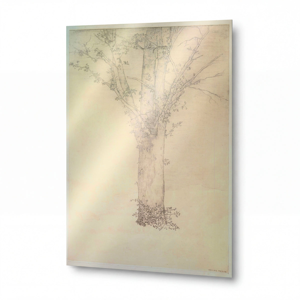 Obraz Odilon Redon — Tree — lesklý obraz na hliníku — lesklý obraz na hliníku