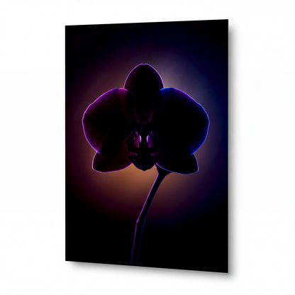 Obraz Noční orchidej v purpurovém neonovém světle — kovový obraz na hliníkovém panelu s vysokým leskem