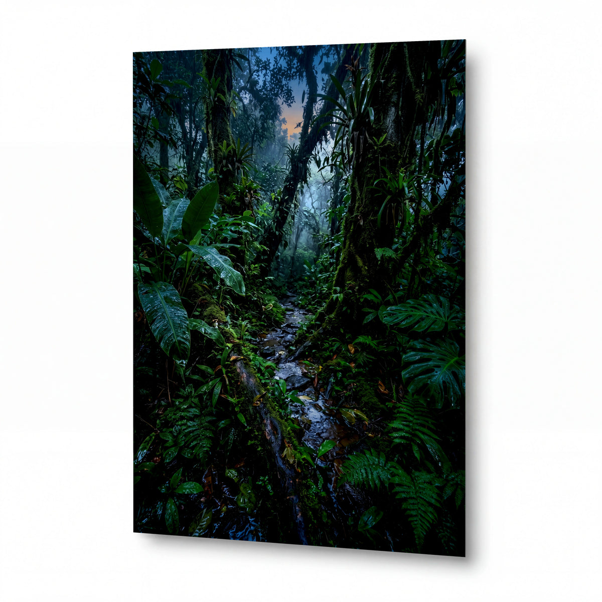 Obraz Potok deštného pralesa v šerosvitu — kovový obraz na hliníkovém panelu s vysokým leskem