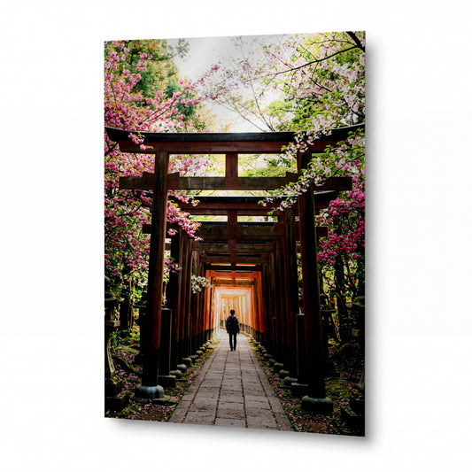 Obraz Cesta pod torii branami v sakurovém háji — kovový obraz na hliníkovém panelu s vysokým leskem
