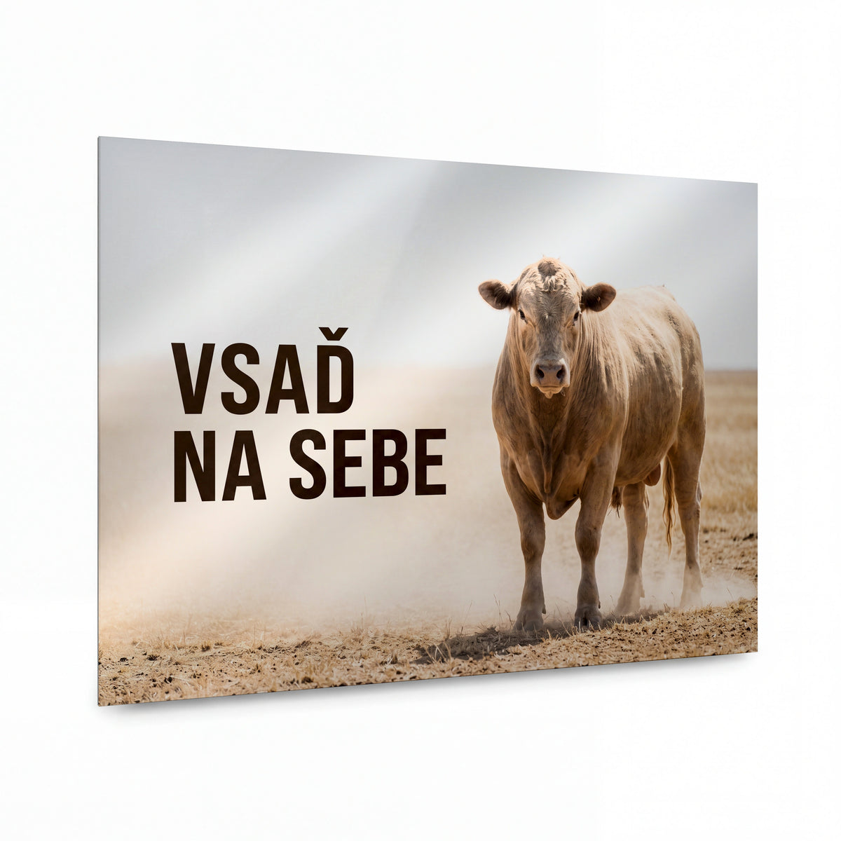 Obraz Kráva s heslem vsaď na sebe — kovový obraz na hliníkovém panelu s vysokým leskem