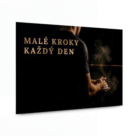 Obraz Malé kroky každý den — kovový obraz na hliníkovém panelu s vysokým leskem