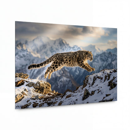 Obraz Skok sněžného leoparda v horách — lesklý panel z hliníku