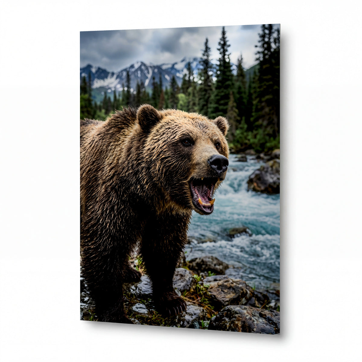 Obraz Grizzly u horského potoka — prémiový kovový obraz