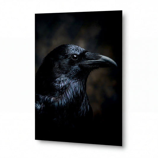 Obraz Havran s jiskrným pohledem v mlžném šeru — obraz na kovovém panelu