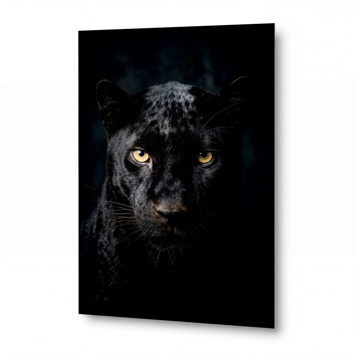 Obraz Černý panter se zlatýma očima — lesklý kovový obraz