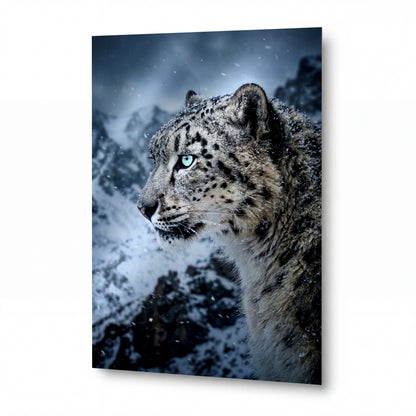Obraz Sněžný leopard s ledovými očima — prémiový lesklý obraz na hliníku