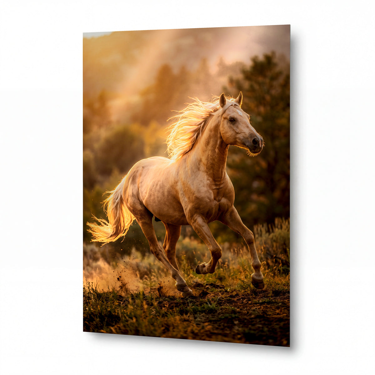 Obraz Zlatý cval v horském podvečeru — kovový obraz na hliníkovém panelu s vysokým leskem