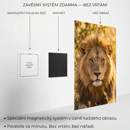Magnetický systém uchycení kovového obrazu bez vrtání