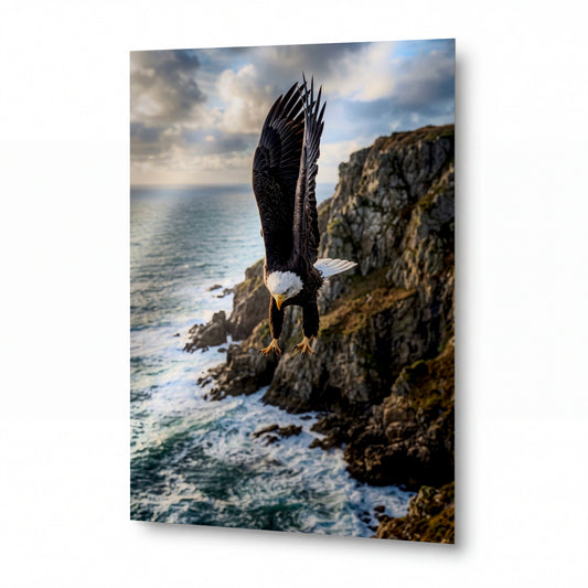 Obraz Orel při lovu nad skalním pobřežím — kovový obraz na hliníkovém panelu